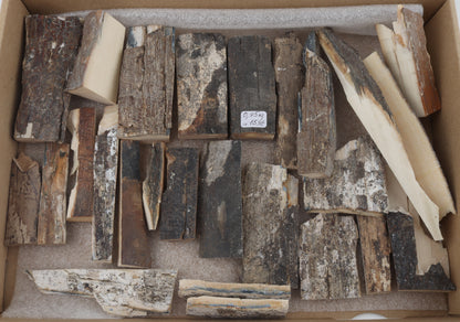 Untreated mammoth bark pieces