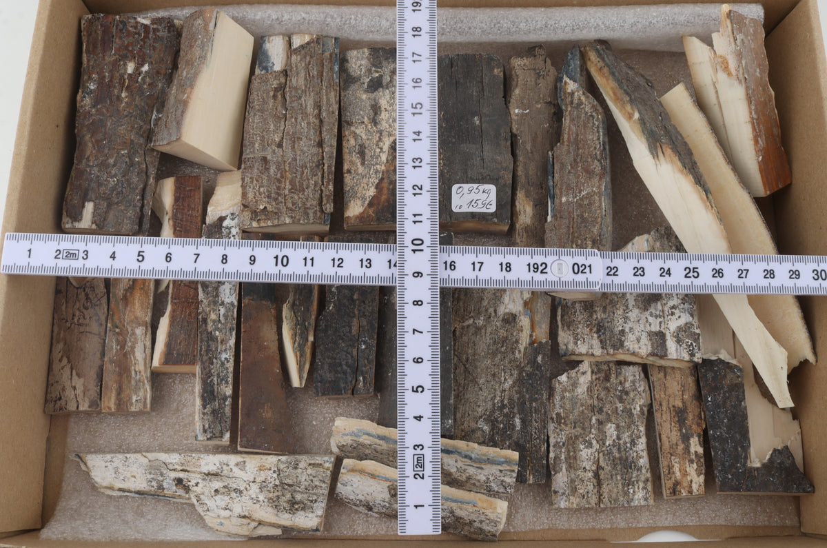 Untreated mammoth bark pieces