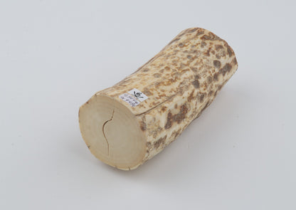 Natural mammoth ivory piece