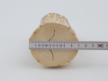 Natural mammoth ivory piece