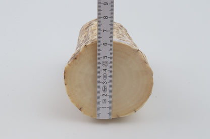 Natural mammoth ivory piece