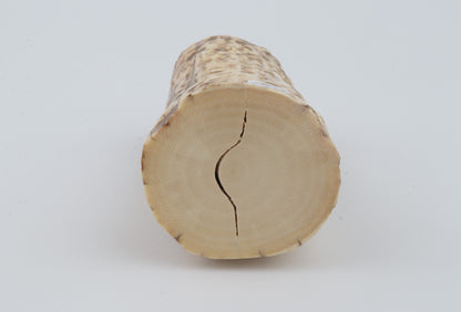 Natural mammoth ivory piece