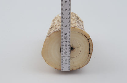 Natural mammoth ivory piece