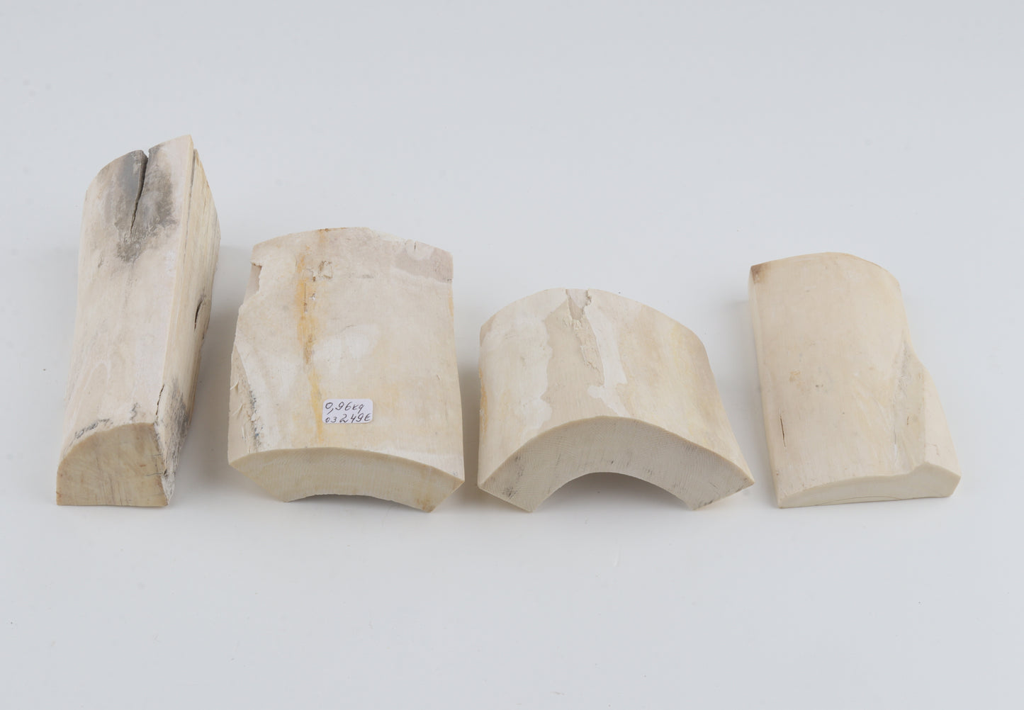 White mammoth ivory pieces