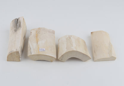 White mammoth ivory pieces
