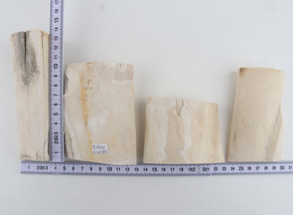 White mammoth ivory pieces