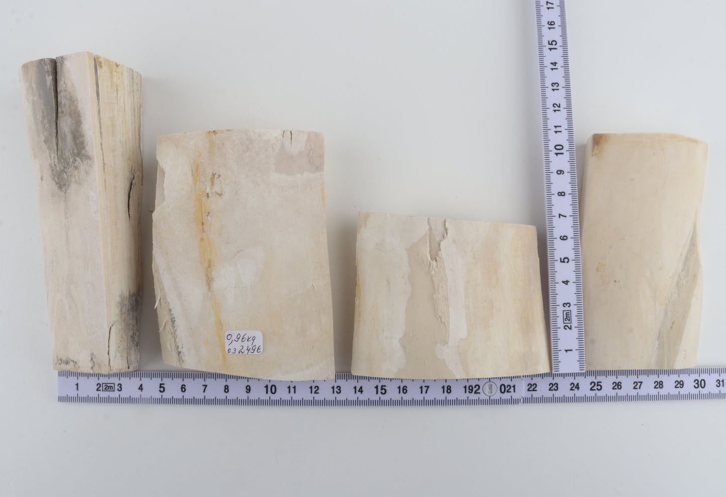 White mammoth ivory pieces