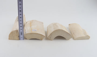 White mammoth ivory pieces