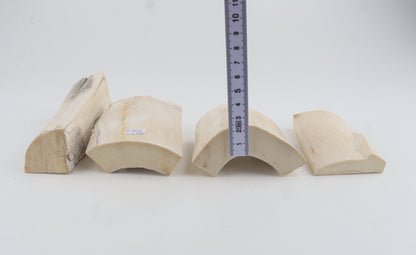 White mammoth ivory pieces