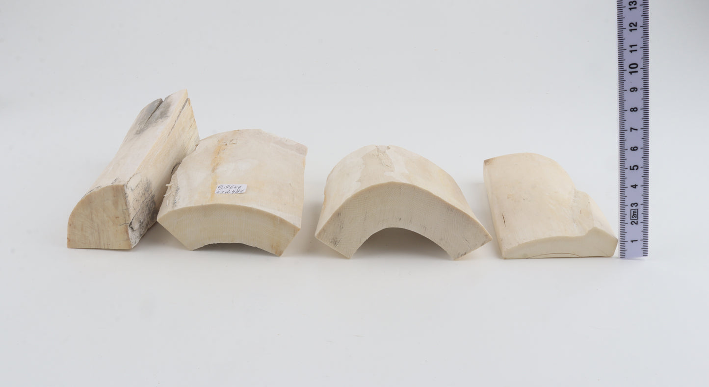 White mammoth ivory pieces