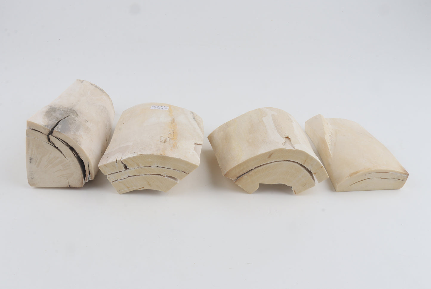 White mammoth ivory pieces
