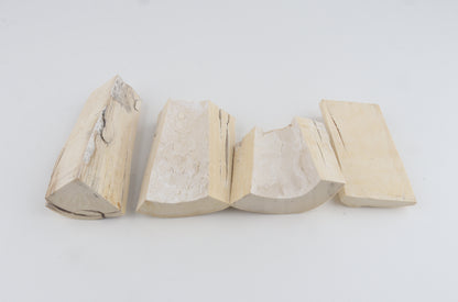 White mammoth ivory pieces