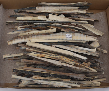 Raw mammoth ivory offcuts