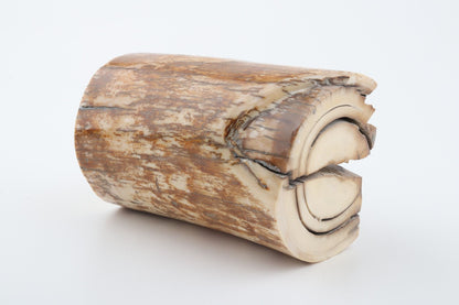 Natural mammoth ivory piece