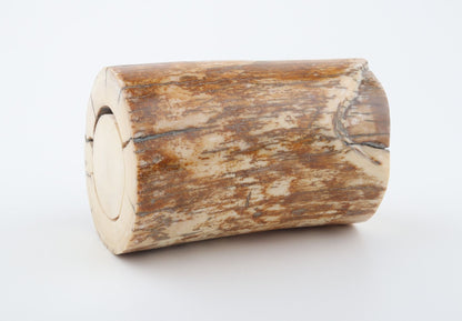 Natural mammoth ivory piece