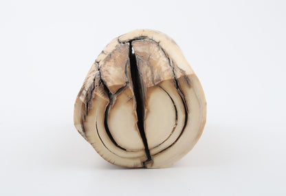 Natural mammoth ivory piece
