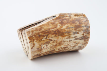 Natural mammoth ivory piece