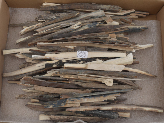 Raw mammoth ivory offcuts