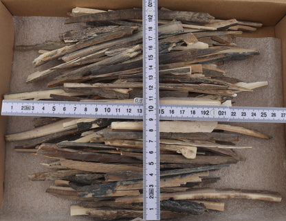 Raw mammoth ivory offcuts