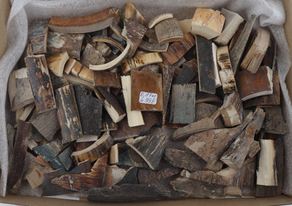 Untreated mammoth bark offcuts