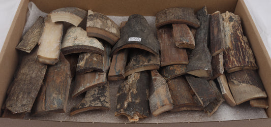Untreated mammoth bark pieces