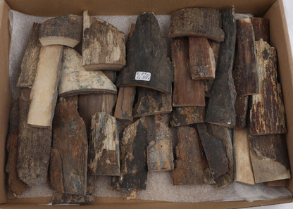 Untreated mammoth bark pieces