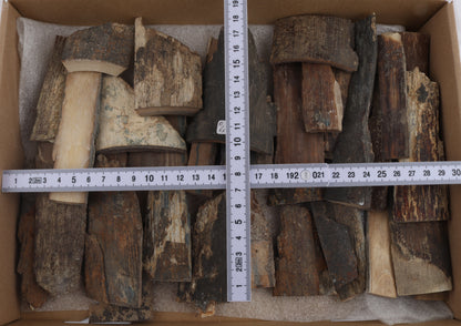 Untreated mammoth bark pieces
