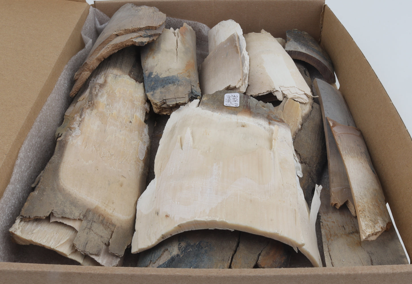 Untreated mammoth ivory offcuts