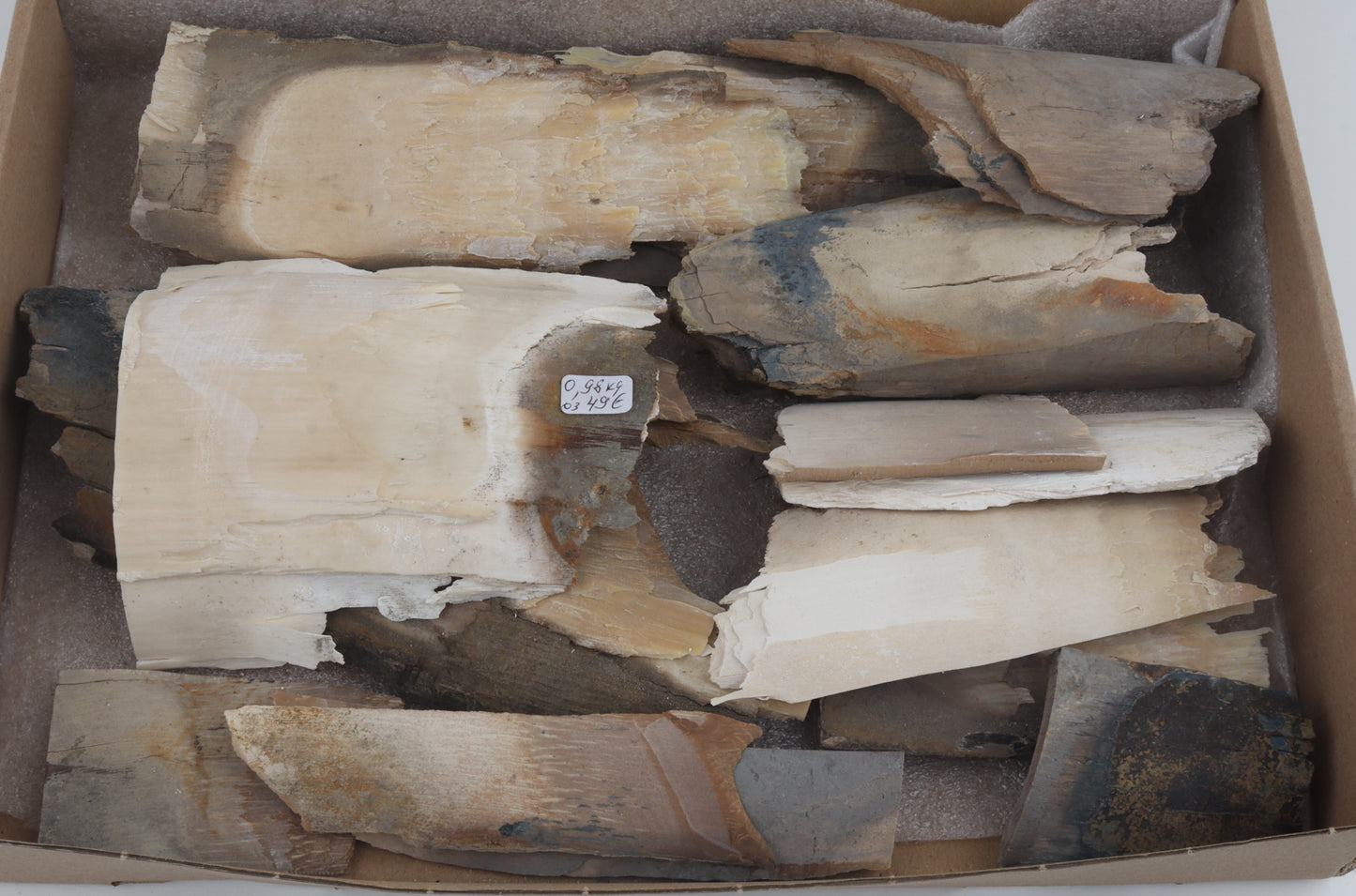 Untreated mammoth ivory offcuts