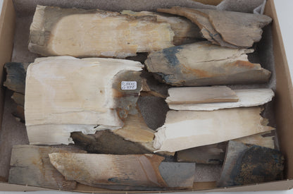 Untreated mammoth ivory offcuts