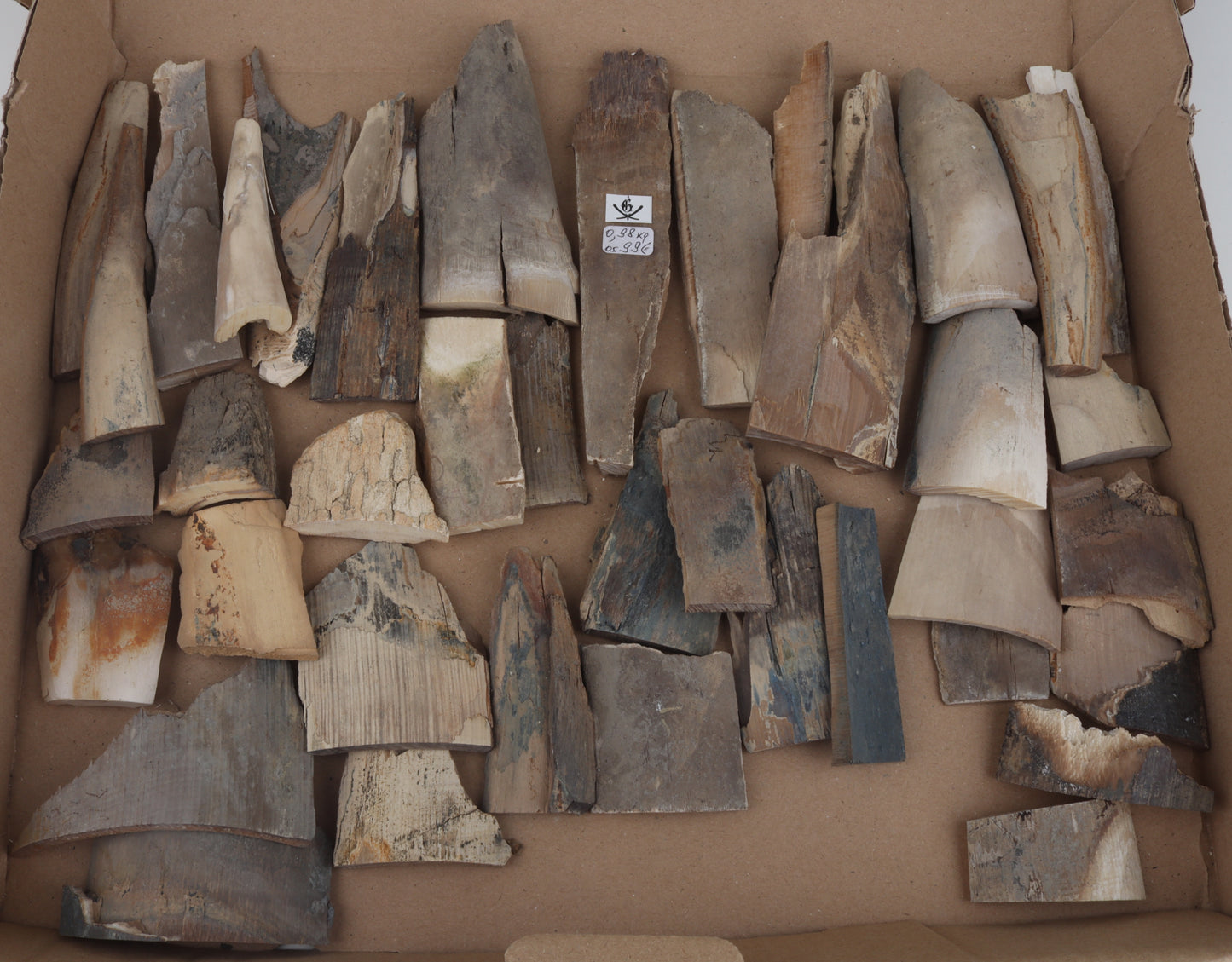Raw mammoth ivory offcuts