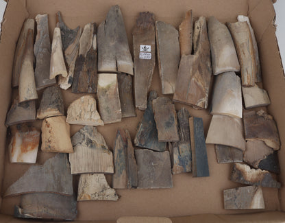 Raw mammoth ivory offcuts