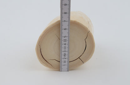 Round mammoth tusk piece