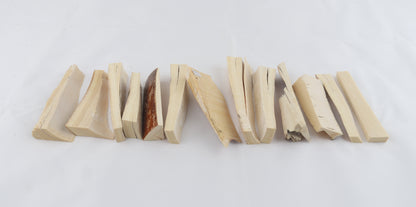 White mammoth ivory pieces