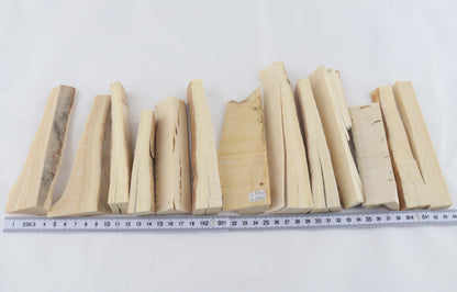 White mammoth ivory pieces
