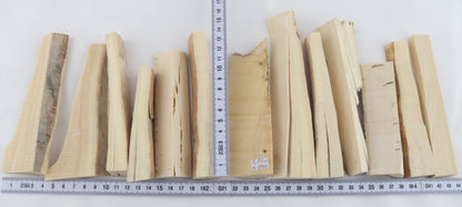 White mammoth ivory pieces