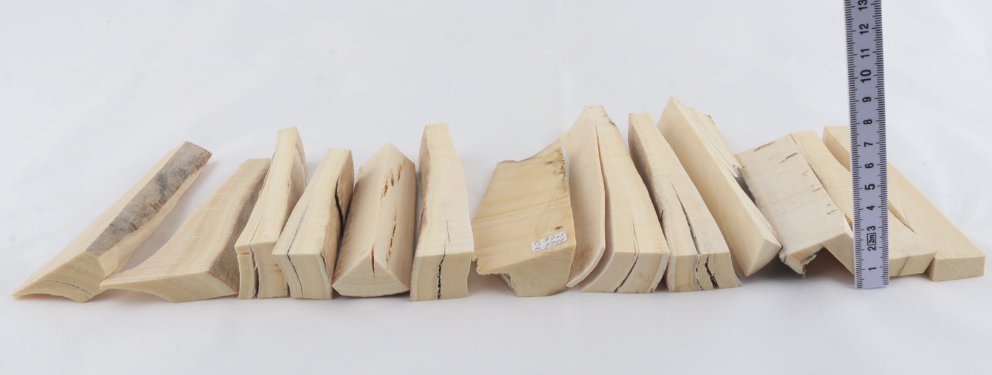 White mammoth ivory pieces