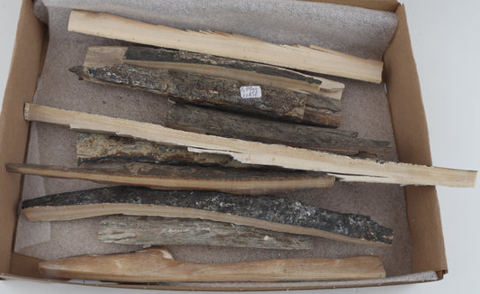 Untreated mammoth ivory offcuts