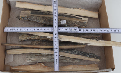 Untreated mammoth ivory offcuts