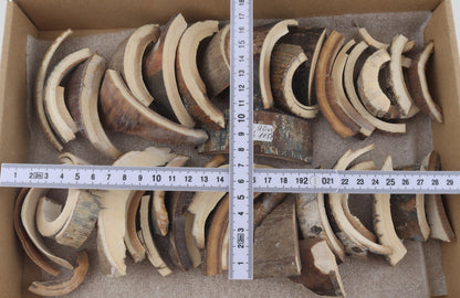 Untreated mammoth bark offcuts