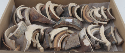 Untreated mammoth bark offcuts