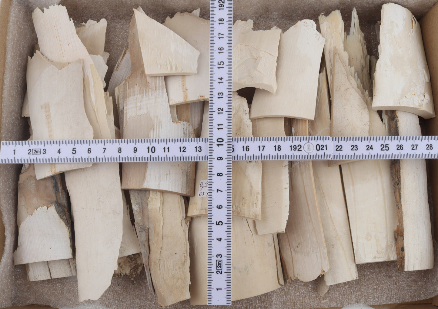 Untreated mammoth ivory offcuts