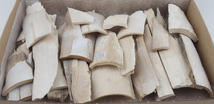 Untreated mammoth ivory offcuts