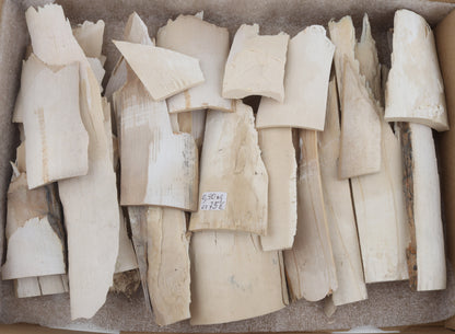 Untreated mammoth ivory offcuts
