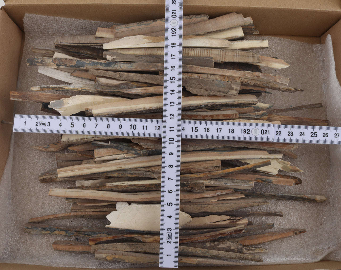 Untreated mammoth ivory offcuts