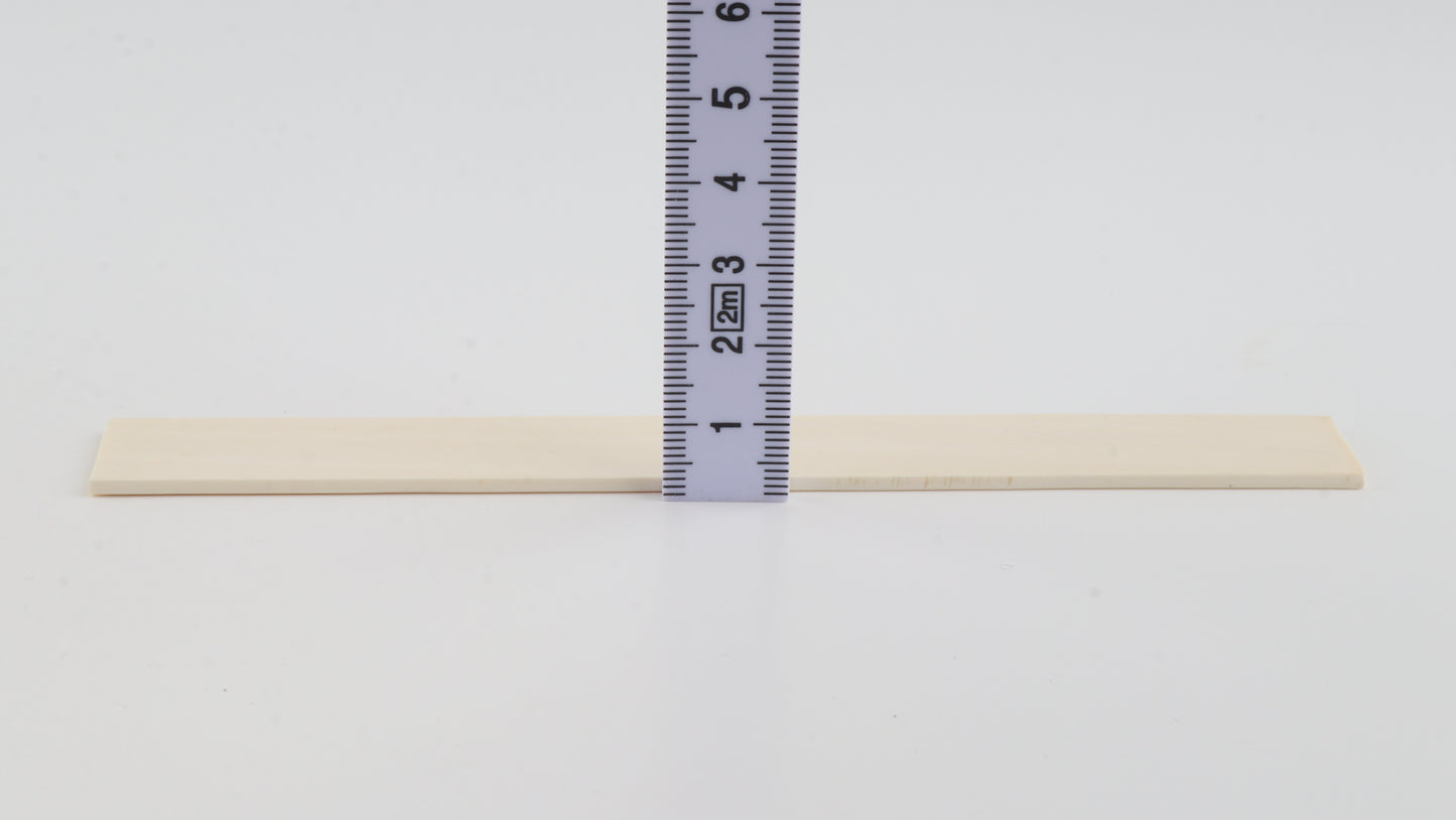 White mammoth ivory segment