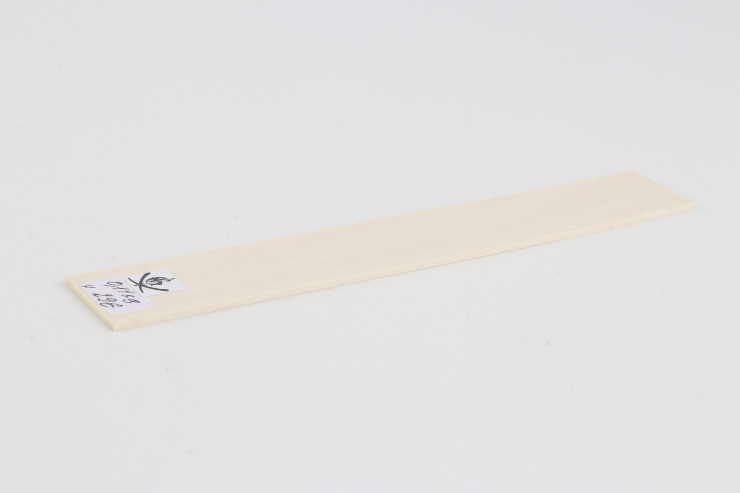White mammoth ivory segment