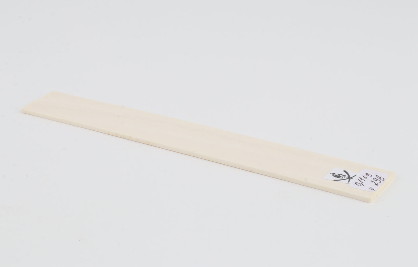 White mammoth ivory segment
