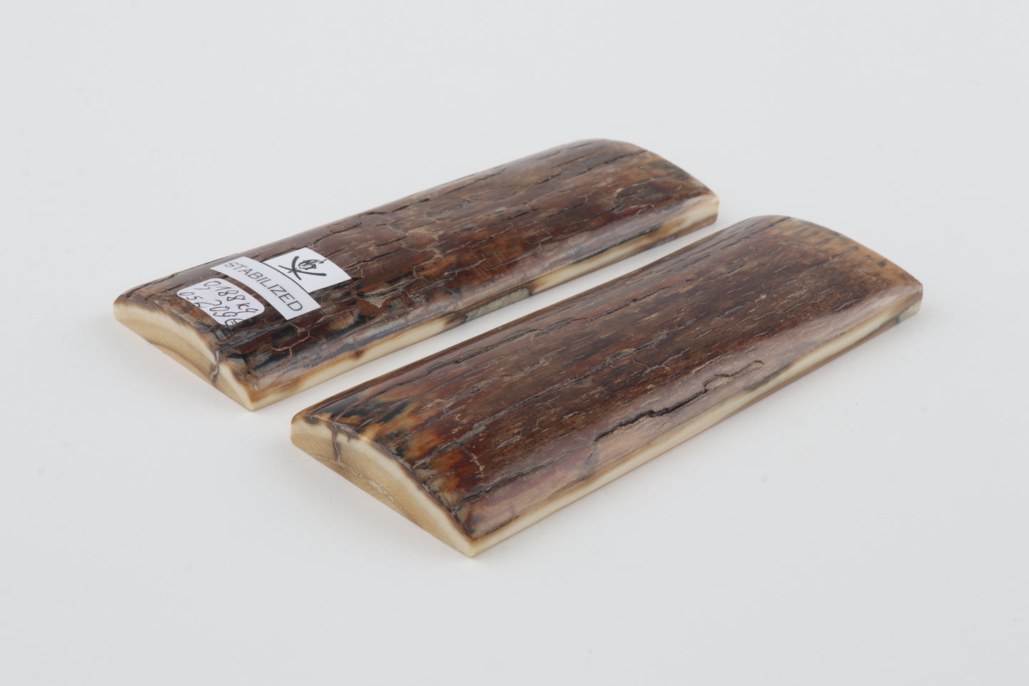 Stabilized mammoth bark scales