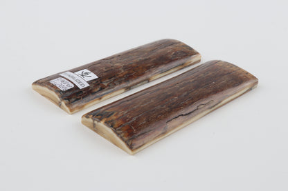 Stabilized mammoth bark scales
